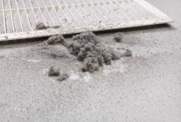 Best HVAC Duct Inspection Services  in Collegeville, PA