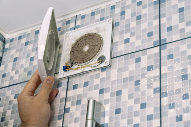 Best Air Duct Mold Removal  in Collegeville, PA