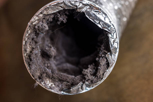 Best Home Air Vent Cleaning  in Collegeville, PA